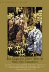 Огненный дом