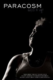 Paracosm