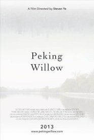 Peking Willow