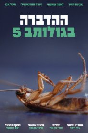 Pest Control on Golomb Street