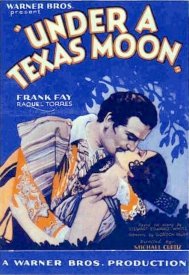 Под техасской луной