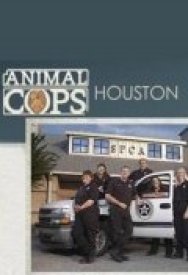 Полиция Хьюстона: Отдел по защите животных