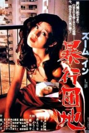 Приближение: Квартира насилия