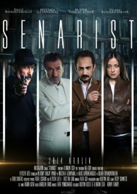 Сценарист
