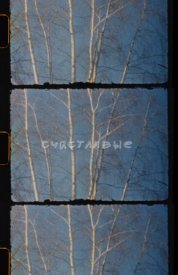 Счастливые