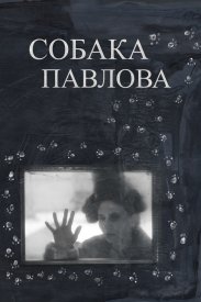 Собака Павлова