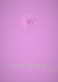 Супер Дороти – сорт бенгальской розы