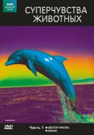 Суперчувства животных