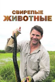 Свирепые животные