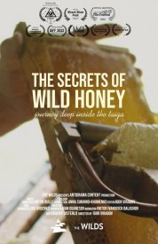 Тайна дикого мёда