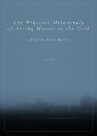 The Ethereal Melancholy of Seeing Horses in the Cold