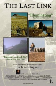The Last Link