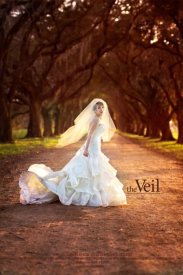 The Veil