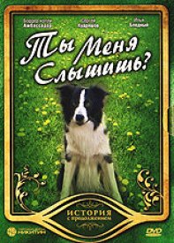 Ты меня слышишь?