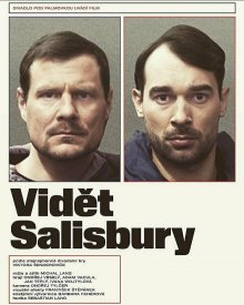 Увидеть Солсбери