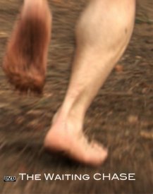 В ожидании погони