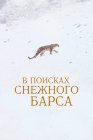 В поисках снежного барса