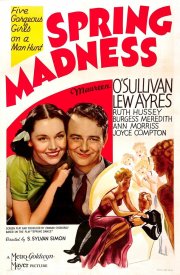 Весеннее безумие