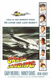 Вынужденная посадка