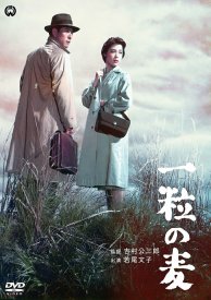 Зёрнышко пшеницы