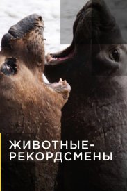 Животные-рекордсмены
