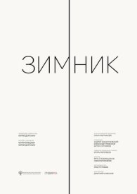 Зимник