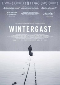 Зимний гость