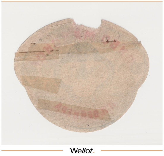 Изображение лота Этикетка Пиво Майское Астрахань "Пиво-Медоваренный Завод Наследников П.П.Вейнер"