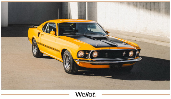 Изображение лота 1969 Ford Mustang Mach 1
