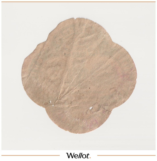 Изображение лота Этикетка Пиво Баварское Астрахань "Пиво-Медоваренный Завод П.П.Вейнер"