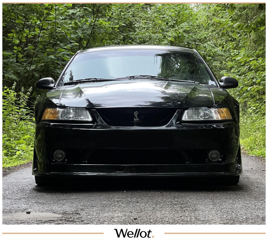 Изображение лота 1999 Ford Mustang SVT Cobra