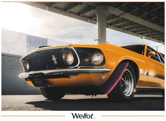 Изображение лота 1969 Ford Mustang Mach 1