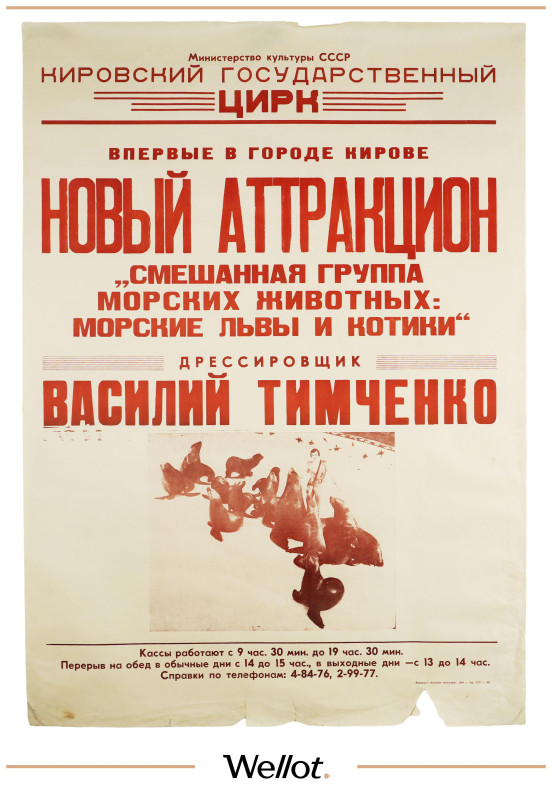 Изображение лота Цирковая Афиша Василий Тимченко