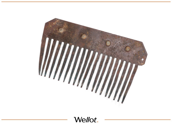 Изображение лота Бородочес XIX век