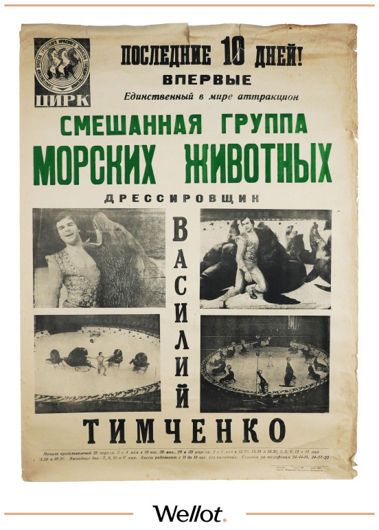 Изображение лота Цирковая Афиша Василий Тимченко