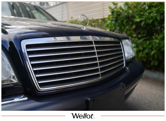 Изображение лота 1995 Mercedes-Benz S 600L W140