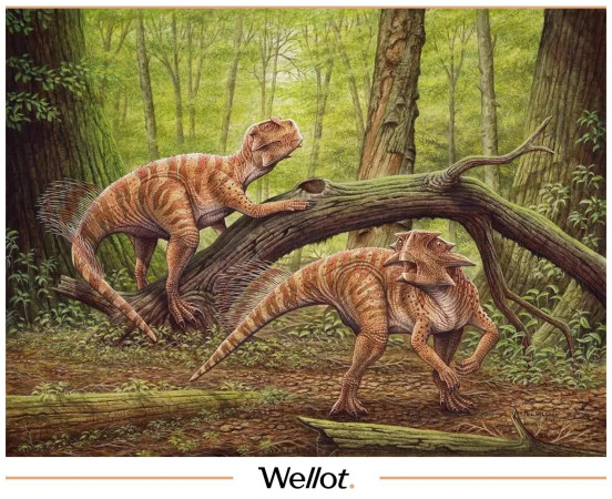 Изображение лота Скелет Рогатого Динозавра Psittacosaurus