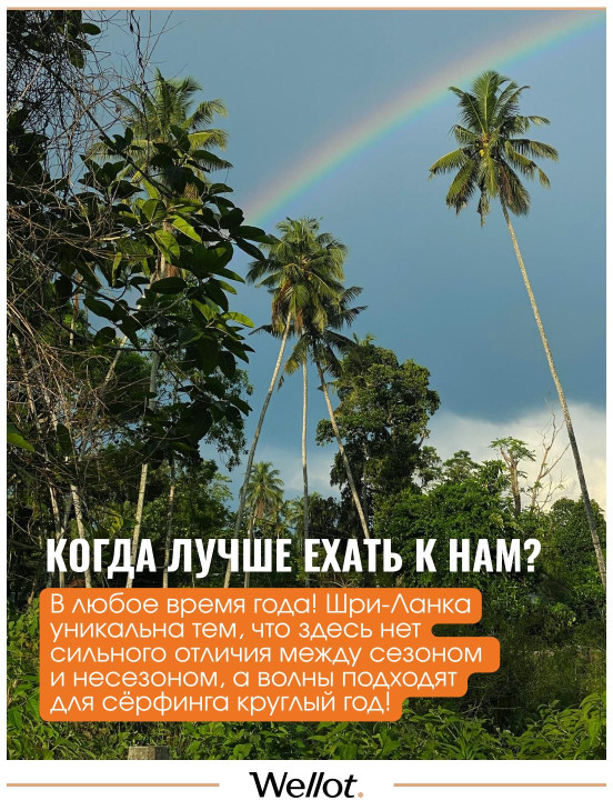Изображение лота Серф-Тур на Шри-Ланку от Surf’s Up