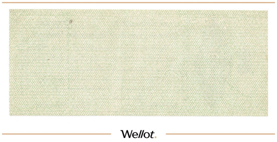 Изображение лота 50 Рублей 1919 Россия Сибирь Временное Правительство UNC-