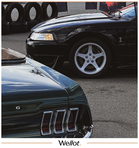 Изображение лота 1999 Ford Mustang SVT Cobra