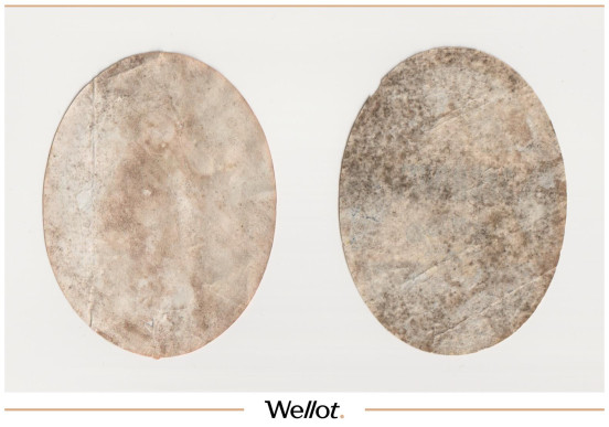 Изображение лота Этикетка Пиво Экспорт Астрахань "Пивоваренный Завод И.К.Федорова" 2шт