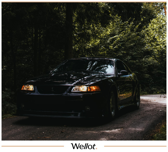 Изображение лота 1999 Ford Mustang SVT Cobra