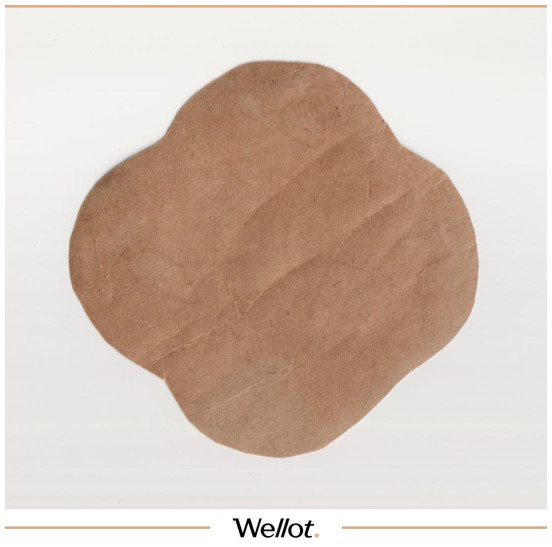 Изображение лота Этикетка Пиво Венское Астрахань "Пиво-Медоваренный Завод П.П.Вейнер" 