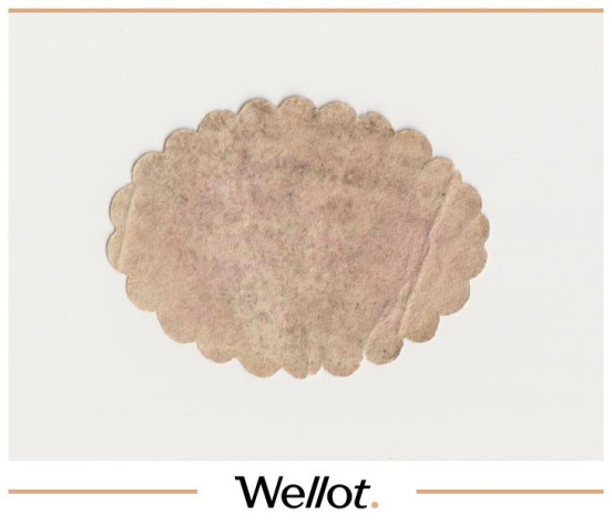 Изображение лота Этикетка Астрахань  Бандероль Пивной Лавки "Прикаспийский Пивоваренный Завод"