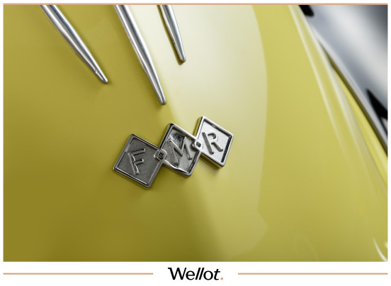 Изображение лота 1960 FMR Tg 500 «Tiger»