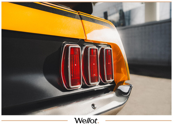 Изображение лота 1969 Ford Mustang Mach 1