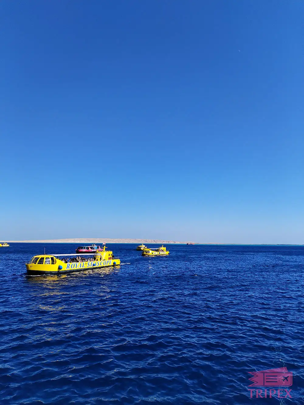 Красное море в Хургаде в январе