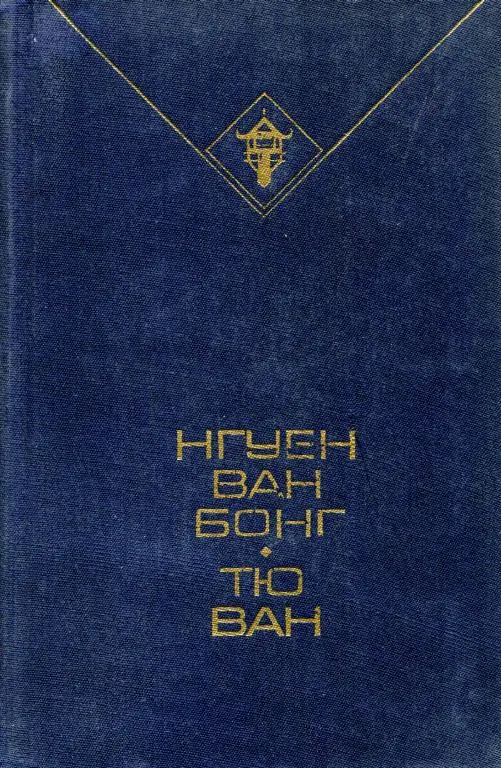 Тайфун книга читать. Библиотека вьетнамской литературы. Библиотека Вьетнам. Ван тю.