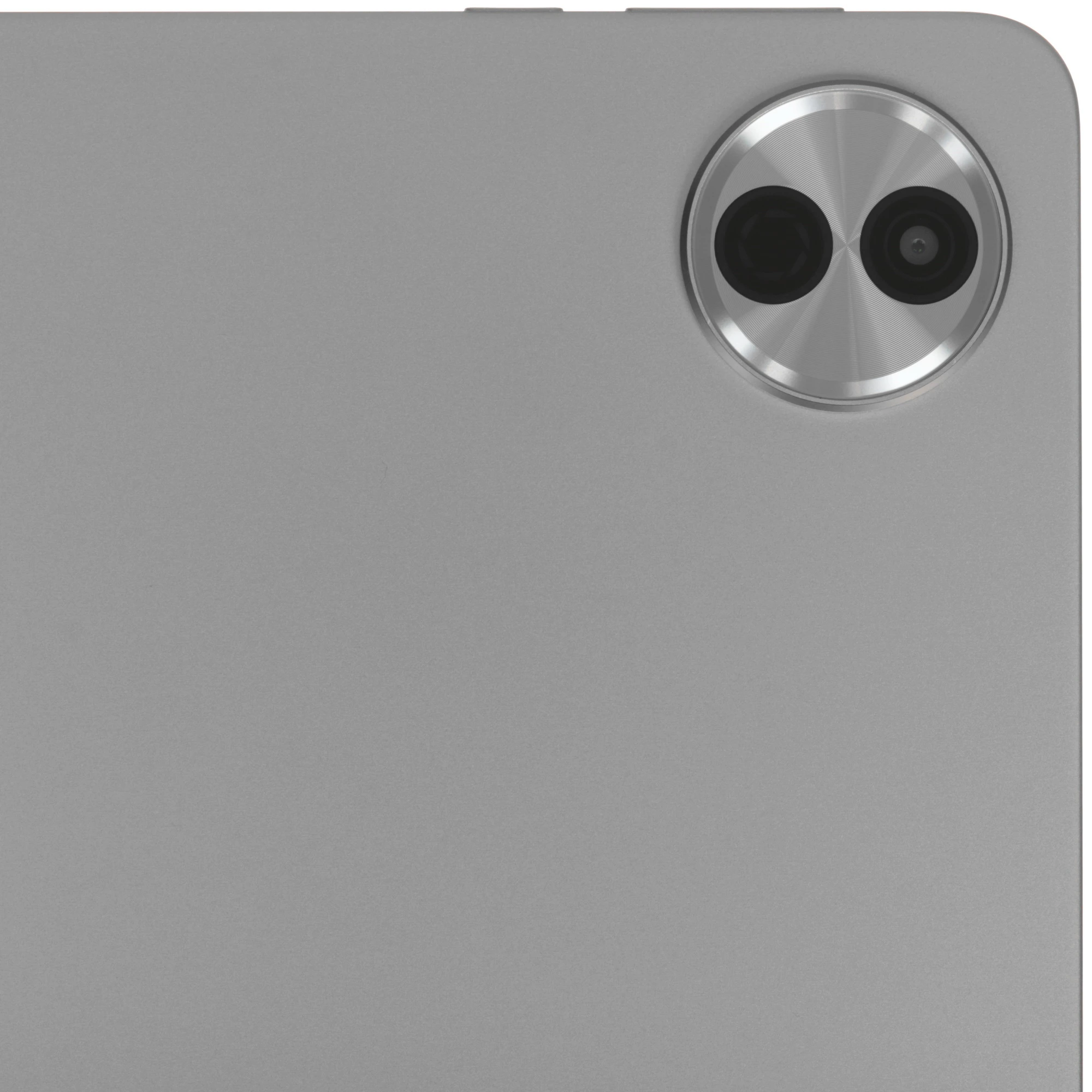 Apple Pro 100