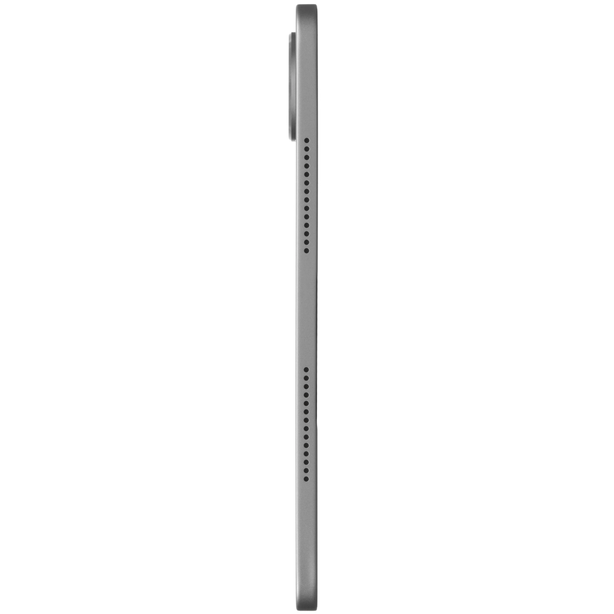 Apple Pro 100